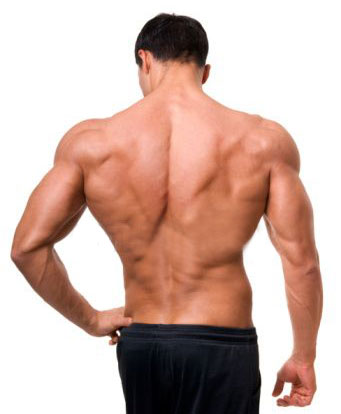 A strong back can be seen miles away